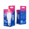 Telforceone Forever Light LED Bulb E27 A60 12.8W 1520lm 6000K class E