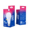 Telforceone Forever Light LED Bulb E27 A65 17W 2100lm 6000K class E