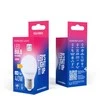 „Telforceone Forever Light“ LED lemputė E27 G45 4,2 W 480 lm 6000 K, E klasė