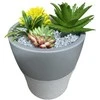 Telforceone Setty humidifier NP-18 pilkas