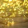Telforceone String Light GOLDEN TWIG CLF-03z 480LED cold baltas 3m + 5m Forever Light