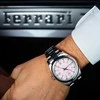 AUTOMATYCZNY Laikrodis vyrams DONOVAL WATCHES Rožinis PANTHER DL0005 + dėžutė (zdo001e)