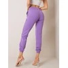 Basic Feel Good Sportiniai kelnaitės-RV-DR-5040.04X-violetinė