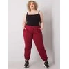 Basic Feel Good Sportiniai kelnaitės-RV-DR-6331.86-bordo