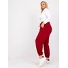 Basic Feel Good Sportiniai kelnaitės-RV-DR-6331.86-bordo