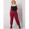 Basic Feel Good Sportiniai kelnaitės-RV-DR-6331.86-bordo