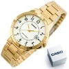 Vyriškas laikrodis CASIO MTP-V004G-7B (zd047c) + BOX