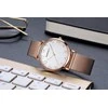 Laikrodis PERFECT F342-07 WOMEN S WATCH (zp514d) + BOX