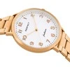 Laikrodis WOMEN'S WATCH PERFECT S332-06 + BOX (zp540a)