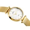 Laikrodis BISSET Noa V BSBE92GISX03BX