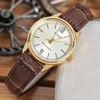 Casio Kolekcinis moteriškas laikrodis LTP-V005GL-9BUDF (zd582k) + DĖŽUTĖ
