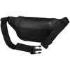 Peterson PTN 301-NGN