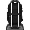 Peterson PTN 77716