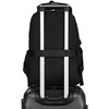 Peterson PTN CPY-02