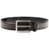 Pierre Cardin 4100/35