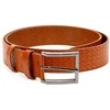Pierre Cardin PSN 6212 CMP