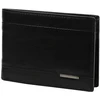 Pierre Cardin TILAK83 8806