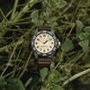 TIMEX Expedition Acadia Rugged vyriškas laikrodis TW4B26500 (zt161b) + dėžutė