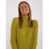 Wool Fashion Italia Megztinis-AT-SW-2334-2,61-alyvuogių