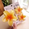 Eu Sandelis 3 viename plaukų segtukų rinkinys, ombre gėlių raštas xl + 2 mini segtukai SP421