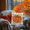 Eu Sandelis Dekoratyvinės pagalvėlės užvalkalas 45x45cm Ruduo BOHO POD187