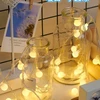 Eu Sandelis Vidaus / išorės rutulinė girlianda 71 LED šiltai balta, 2 režimai LAMP46