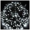 Eu Sandelis Lempučių girlianda su blyksnių/ žibančiu efektu, 1000 LED šaltai balta LAMP27B