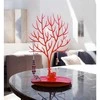 Eu Sandelis Papuošalų stendas medis, žiedams, auskarams, vėriniams, aksesuarams E32CZE (Ekspozicinė prekė)