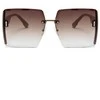 Eu Sandelis SQUARE BROWN akiniai nuo saulės OK379WZ2