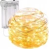 Eu Sandelis Vidaus plona girlianda su baterijomis, šiltai balta 50 LED LAMP10CB