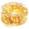 Eu Sandelis Vidaus plona girlianda su baterijomis, šiltai balta 50 LED LAMP10CB
