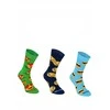 Zooksyrainbow Socks 3 poros originalaus dizaino kojinių dėžutėje