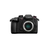 Panasonic Lumix GH5S korpusas