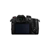 Panasonic Lumix GH5S korpusas