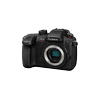 Panasonic Lumix GH5S korpusas