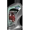 Alyva MPM 2-Stroke Oil Synthetic TC+ 1L (43001)