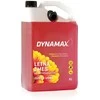 Langų skystis DYNAMAX Summer Forest Fruit 5L (502463)