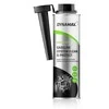 Priedas DYNAMAX Gasoline System Clean &amp; Protect 300ML (502251)