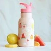 Allc Nerūdijančio plieno gertuvė Ledai, 350ml