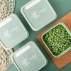 Amuse pojemniki do zamrażarki Alaska BIO 3x1L