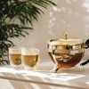 Bodum szklanki su podwójną ścianką 2 vnt. Pavina 0.25L Transparent