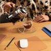 Bodum zaparzacz tłokowy french press Chambord 0.5L Walnut wood