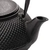 Bredemeijer arbatinukas Jang 0,8l ketaus juodas + filtras G001Z
