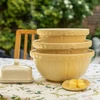 Misa keramikinė 26 cm 2,7L Geltonas / Mason Cash