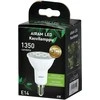 Airam Fiora augalinė lempa, E14, 3500 K, 420 lm