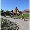 Atala B-CROSS 29 A3.4 LT10 sähköpyörä, 42 cm, antrasiitti/musta