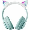 Ausinės ProCaster Meow kuulokkeet mikrofonilla, mintunvihreä
