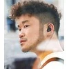Ausinės Sennheiser IE 200 juoda