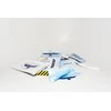 Babiators Accessories Pack – Ready to Fly priedų rinkinys akiniams nuo saulės