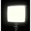 Beiwe BICO P24W LED skydelis